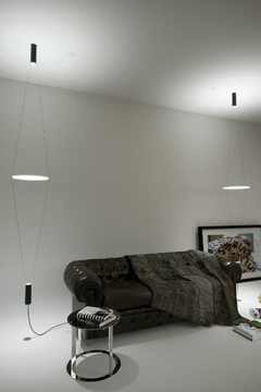 COASSIALE-Martinelli-Luce-296268-rel69582c75.jpg